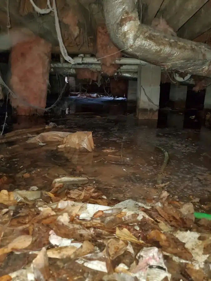 Crawl space flood assessment for Leak Detection & Repair in New Lenox